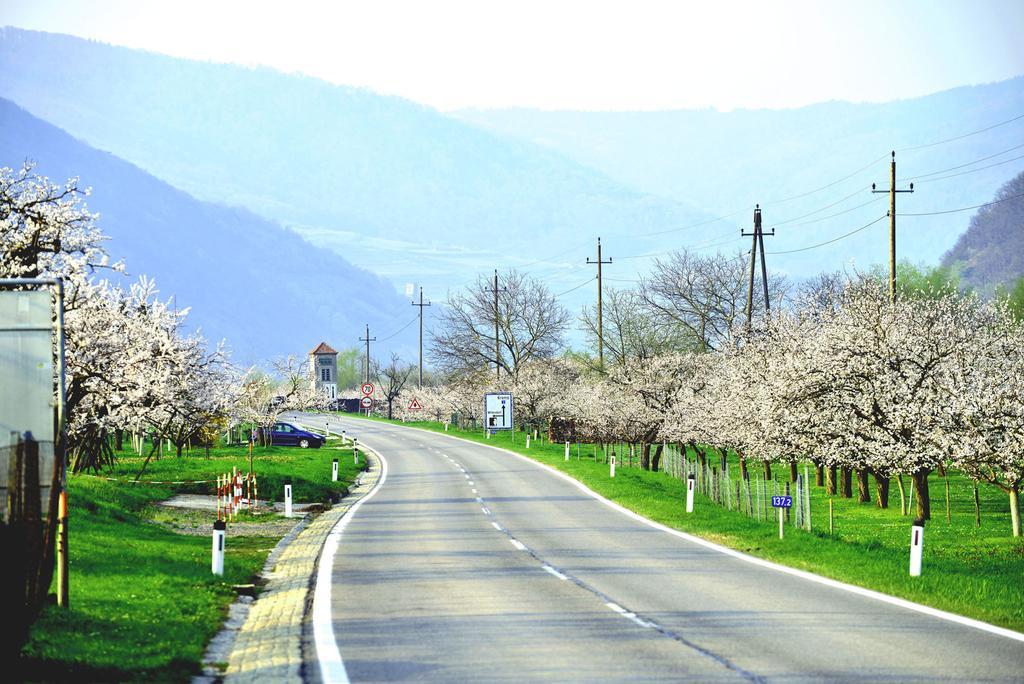 Landhaus Wachau Aggsbach Ngoại thất bức ảnh